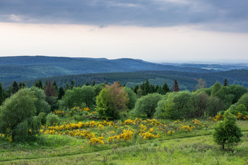 The landscape of Teutoburg Forest in Germany