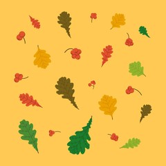 Autumn leaves set with oak. Berries of Rowan. Fall leaf design. Orange background. Illustration. Foliage forest leaf. Red, Green, brown and yellow falling leaves vector