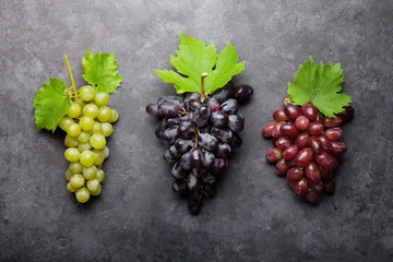 Colorful grapes