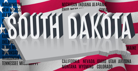 Fototapeta na wymiar South Dakota inscription on American flag background .3D illustration