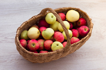 Basket with ripe fresh red, yellow and green apples. Autumn harvesting.