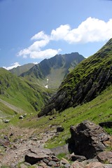 Amazing landscape in the mountains during summertime 