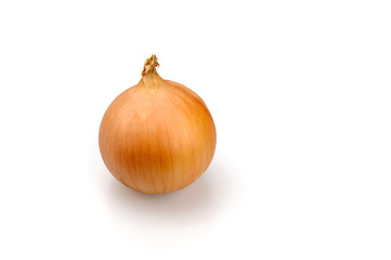Fototapeta premium Onion. Yellow onion. The husk is yellow.