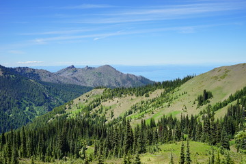 Olympic National Park in summer in Washington, near Seattle