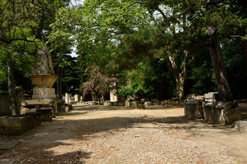 Nécropole romaine des Alyscamps à Arles, Bouches-du-Rhône – Alyscamps Roman necropolis in...