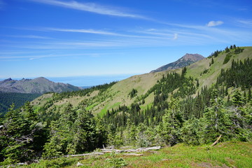 Fototapeta premium Beautiful cloud over snow capped mountains in Olympic National Park in summer in Washington, near Seattle