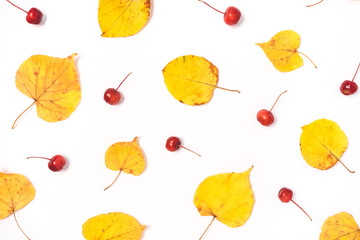 Autumn composition of yellow leaves and red berries on a white background. Flat lay, top view.