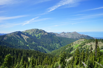 Obraz premium Olympic National Park in summer in Washington, near Seattle