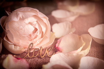 LOVE, Dekoration mit weißer Rose