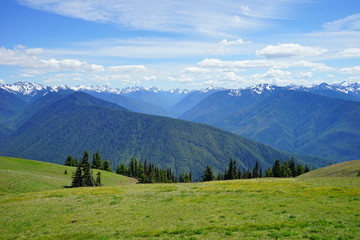 Fototapeta na wymiar Beautiful mountains in Olympic National Park in summer in Washington, near Seattle
