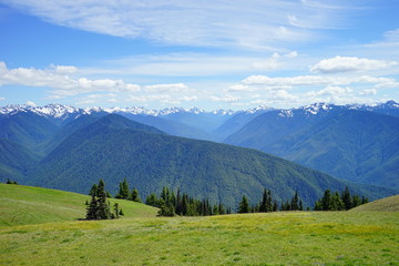 Fototapeta na wymiar Olympic National Park in summer in Washington, near Seattle
