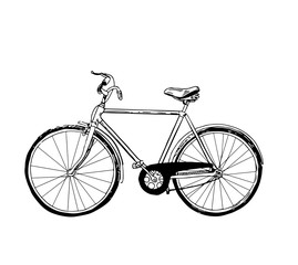 Fototapeta na wymiar Racing bicycle. bicycle.. Vector hand drawn illustration