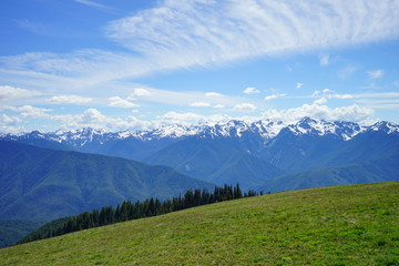 Fototapeta premium Beautiful mountains in Olympic National Park in summer in Washington, near Seattle