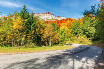 Fototapeta premium serpentine road in apuseni mountains, pietrele negre romania. rocky cliff above the passage. trees in colorful foliage. beautiful and sunny autumn weather. 