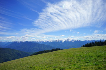 Olympic National Park in summer in Washington, near Seattle