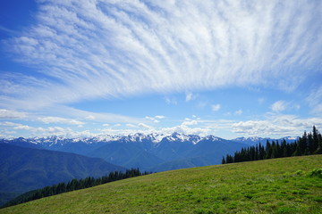 Fototapeta premium Olympic National Park in summer in Washington, near Seattle