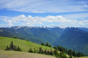 Fototapeta na wymiar Olympic National Park in summer in Washington, near Seattle