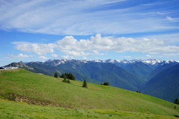 Olympic National Park in summer in Washington, near Seattle