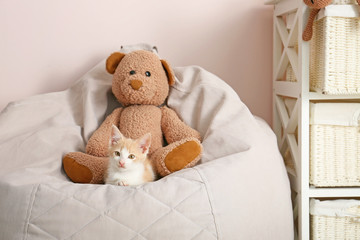 Adorable kitten with teddy bear on beanbag chair in room