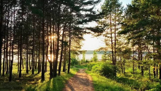 Walking in the woods.  The path through the beautiful forest on the background of the river and mountains. Trees crowns and sun rays. Sunlight peeking through the trees. HD Stock footage 