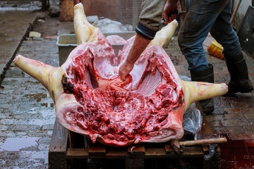 The farmer butchering a pig in the village