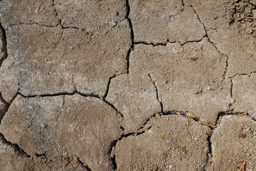 Drought. The background of dry land for design.