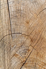 Fototapeta premium Old Weathered Brownish Cut Wood Cracked Texture