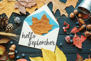 hello September card, Autumn composition