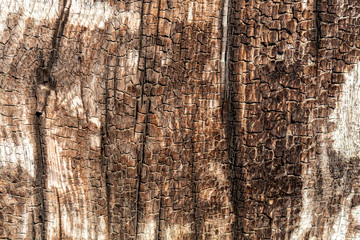 Obraz premium Old Weathered Brownish Cracked Wood Texture
