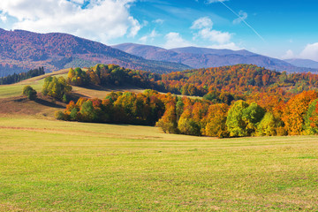beautiful autumn mountain landscape. scenic view of a forest in fall foliage. grassy meadows and...