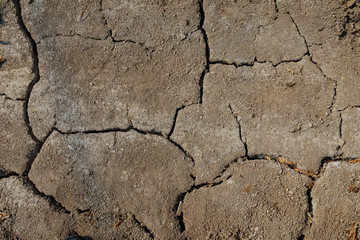 Drought. The background of dry land for design.