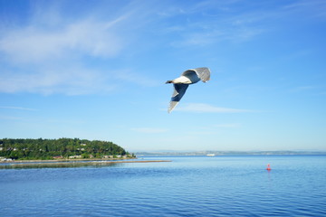 Beautiful waterfront building of Seattle, in Washington State