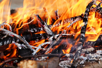 Close up view of the Intense flames from a massive forest fire in Russia, Brasil