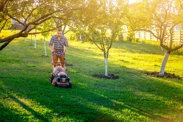 Gardening and garden maintainance, home gardener using lawnmower and cutting grass in garden .