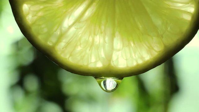 Close up or macro of a slice of lime, a drop of water falls in slow motion. The fruit gives off freshness and juice filling. Concept of fresh fruit, cocktail, lime juice.