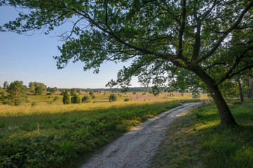 Fototapeta na wymiar Hiking path in a scenic landscape.