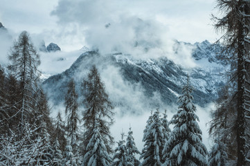 Winter forest and foggy mountains panoramic landscape in North Italy. Dolomites Alps