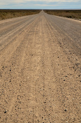 tracks in the sand, Patagonia Argentina
