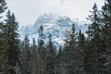 Winter forest and mountains panoramic landscape in North Italy. Dolomites Alps