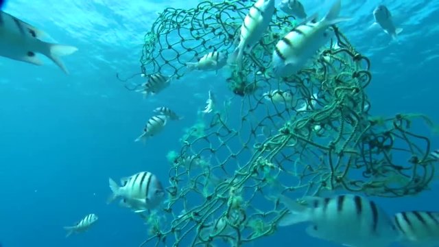 Underwater view of a broken net which could ensnare and trap marine animals.