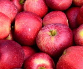 Fototapeta na wymiar Apfel - rote Äpfel - Apfelernte - Hintergrund und Textur