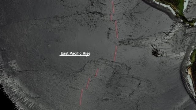 An animated visualization of the ocean floor.