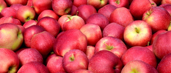 Apfel - rote Äpfel - Apfelernte - Hintergrund und Textur