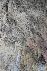 Stone Texture 2