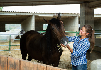 Young woman caring for horses