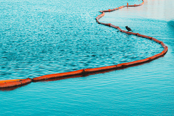 Cormorant Sitting On Bouy In The Providence River with Blue Sky and Reflections In River with Teal and Orange Color Grading