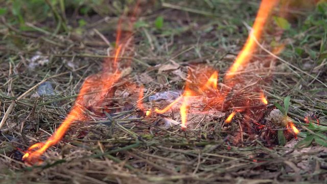 The thrown match set fire to the grass. A man threw a match on the dry grass. Fire hazard. 4k