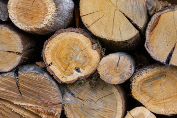 Stacked woodpiles for firewood 
