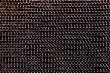 Close up of brown honeycombs in summer