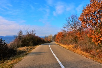 Fototapeta premium road in autumn forest